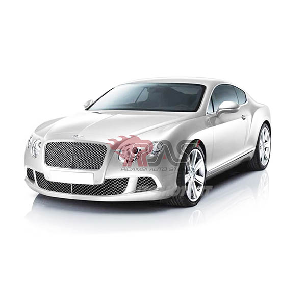 CONTINENTAL Coupé (3W_, 393)